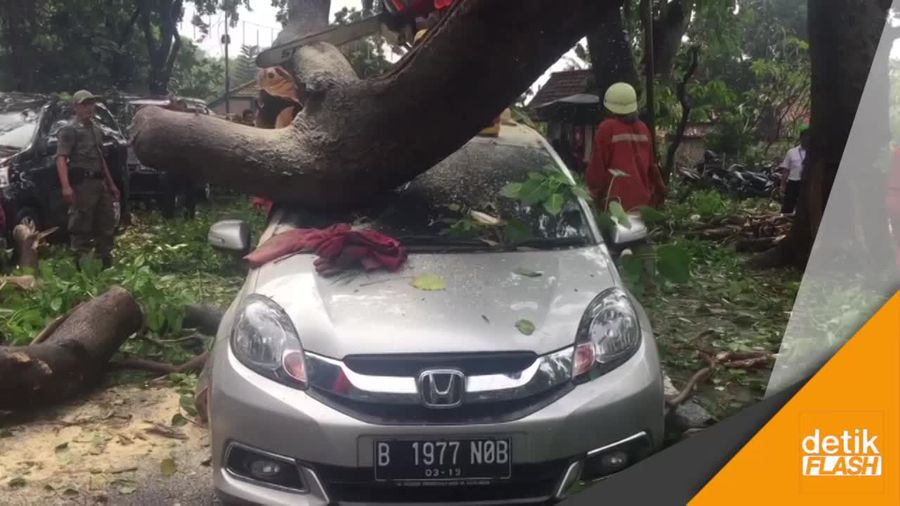 Pohon Tumbang Rusak 5 Mobil dan Belasan Motor di Jaktim