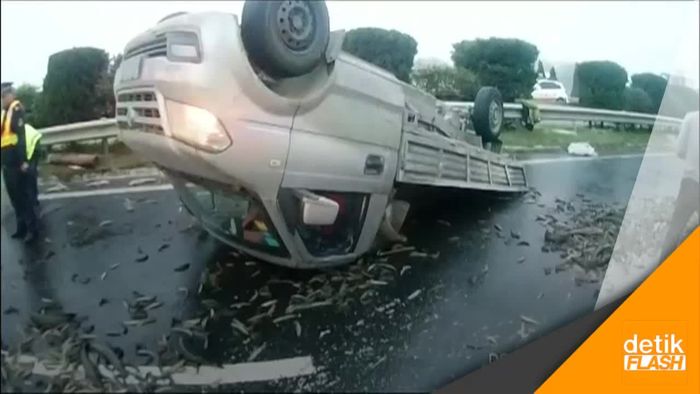 Akibat Sopir Angkat Telpon, Truk Ikan Tergelincir di Jalan Tol