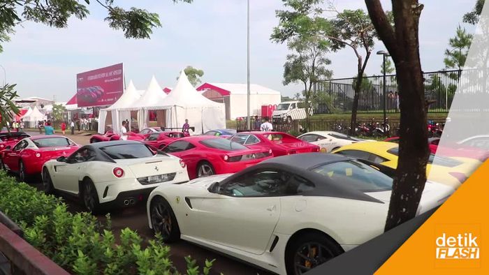 Seratusan Kuda Jingkrak Berpacu di Ferrari Festival of Speed