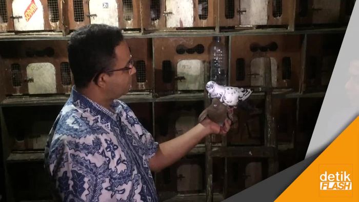 Kenangan Anies dan Hobi Pelihara Burung