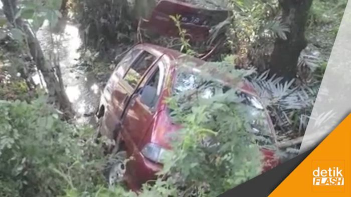 Usai Nyolong Sapi, Pencuri Malah Kecemplung di Sunga