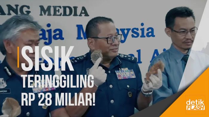 Penyelundupan Sisik Teringgiling Senilai Rp 28 Miliar Terungkap!