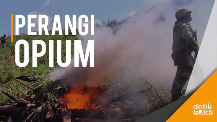 Tentara Meksiko Hancurkan Ladang Opium