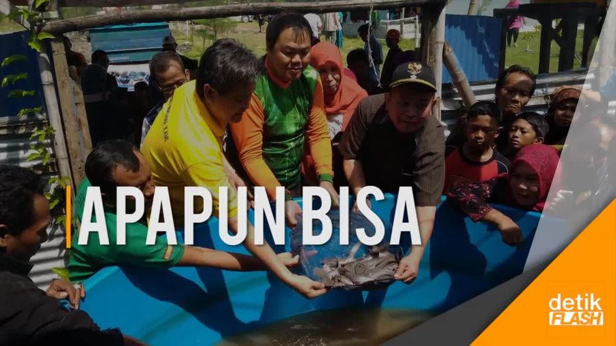 Yuk, Belajar Budidaya Lele di Kolam Terpal