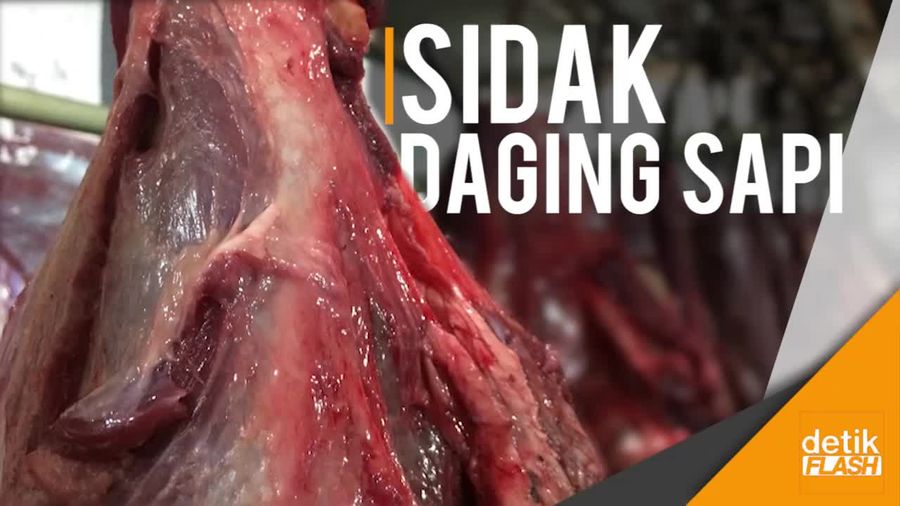 Jelang Ramadan, KPPU Sidak Daging Sapi RPH Semanan