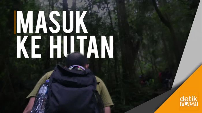Menelusuri Jejak Si Pencari Cacing Sonari di Gunung Pangrango