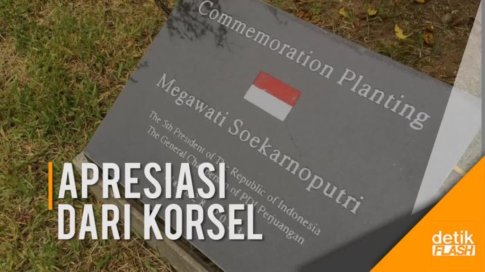 Melihat Kebun Raya Megawati Soekarnoputri di Pulau Jeju 