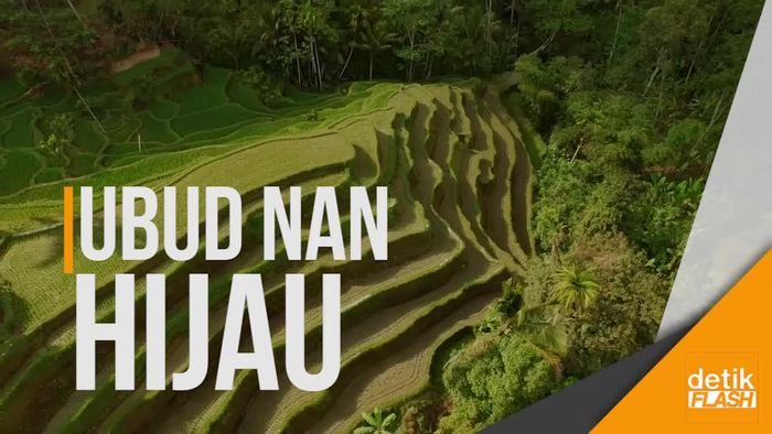 Eksotisme Penginapan Obama di Ubud