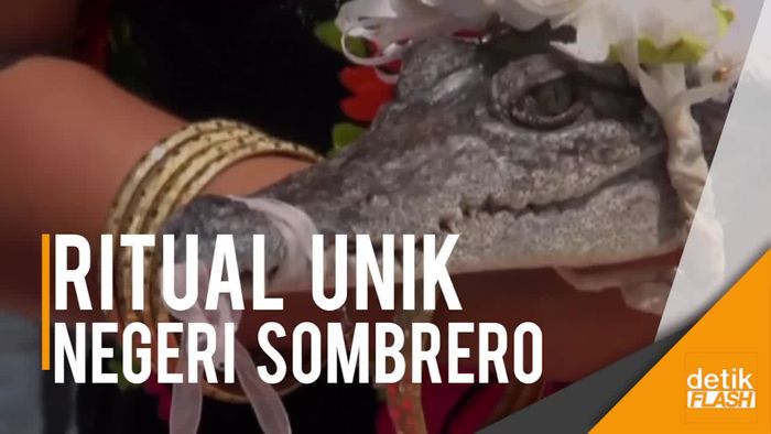 Pria Meksiko Nikahi Seekor Buaya