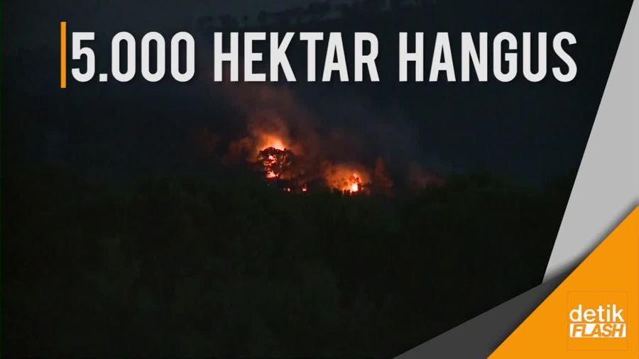 12 Ribu Warga Prancis Dievakuasi Akibat Kebakaran Hutan