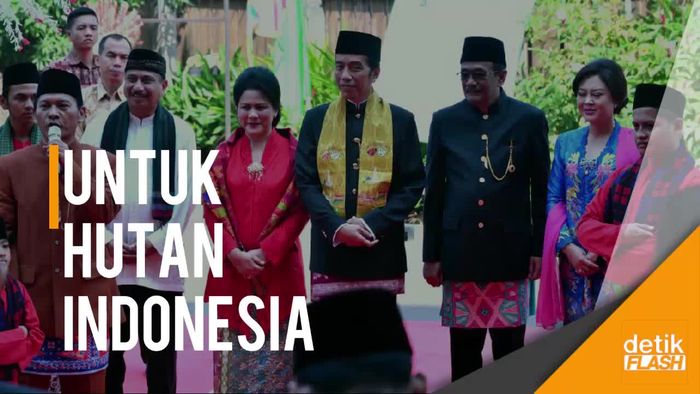 Pesan Pak Jokowi: Pengelolaan Hutan Jangan Terlalu Monoton 