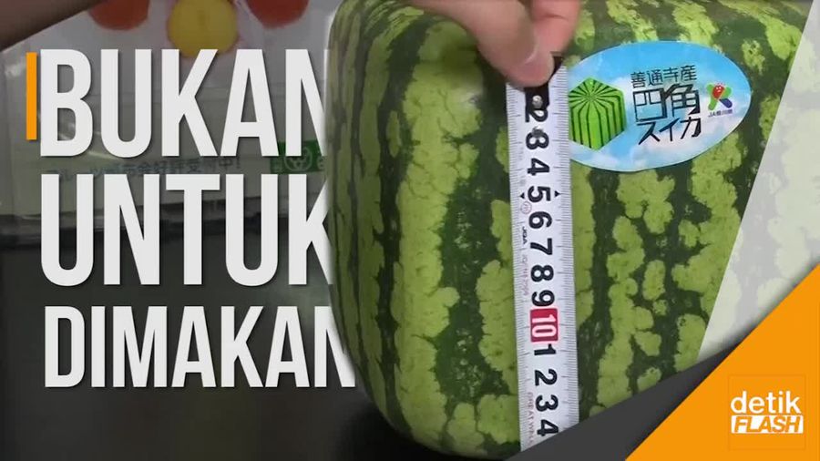 Semangka Kotak Jepang Seharga Jutaan Rupiah