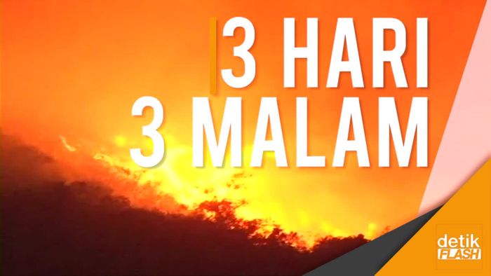 Kebakaran Hutan di Taman Nasional Bolivia