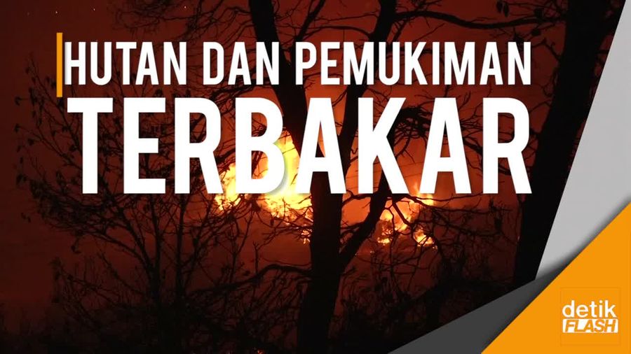 Mengamuk Hebat, Api Bakar Pemukiman dan Hutan di Yunani