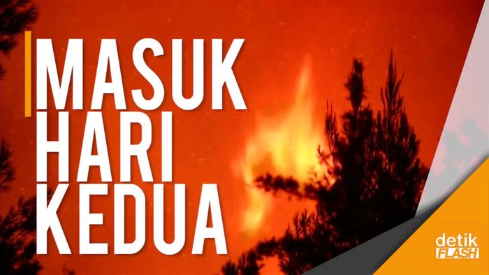 Kebakaran Hutan di Yunani Meluas