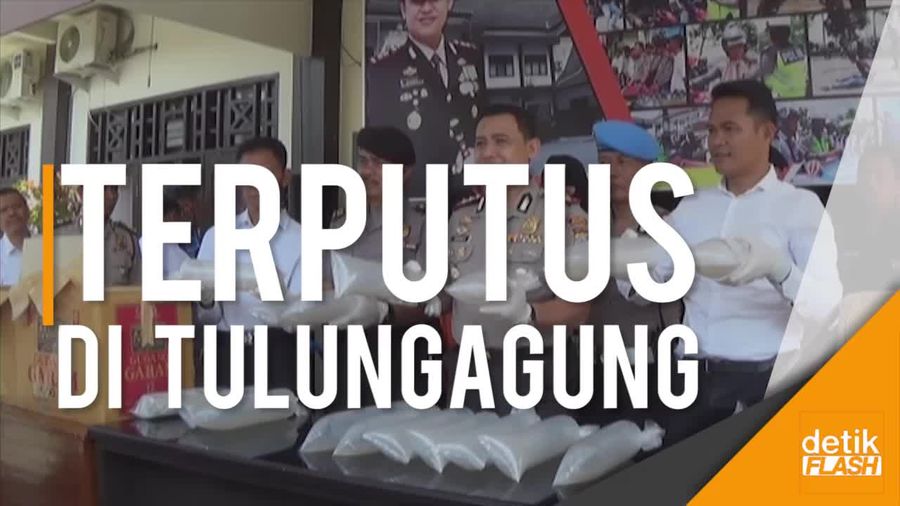 Penyelundupan 30 Ribu Benih Lobster Digagalkan