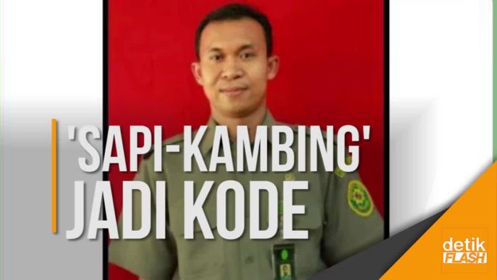 Kode Transaksi Suap Panitera Pengganti: Sapi-Kambing