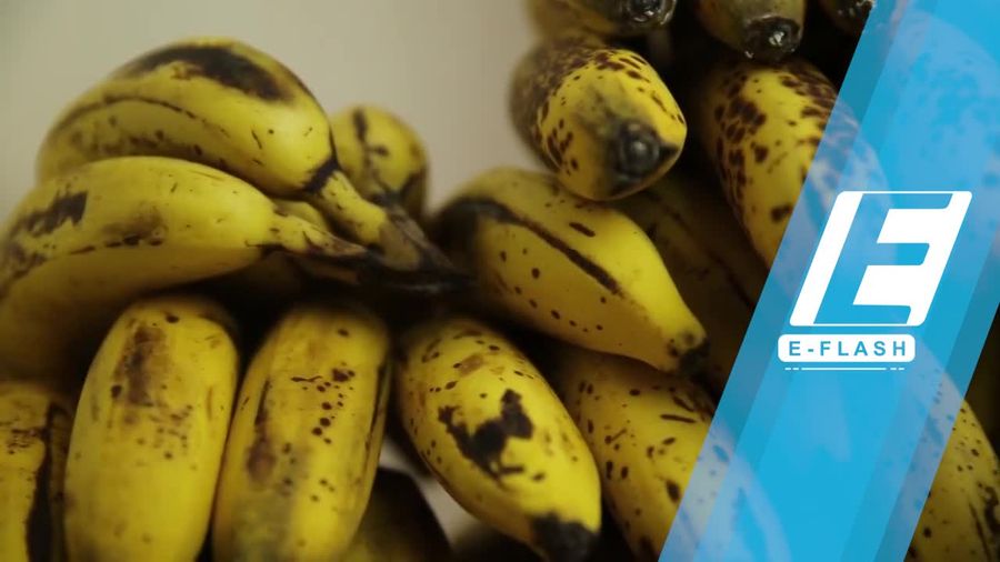 Diet Unik Makan 150 Pisang Per Minggu