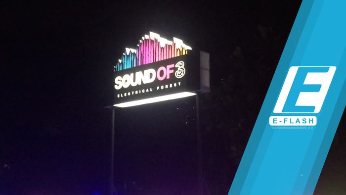 Memasuki Dunia Electrical Forest dan Konser Musik di Sound of Tri 