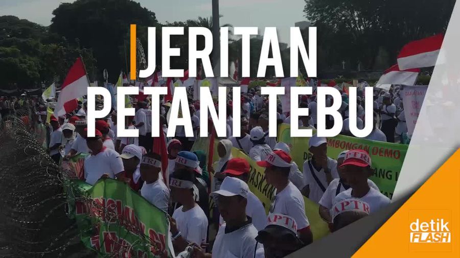 Ribuan Petani Tebu Gelar Aksi Demo