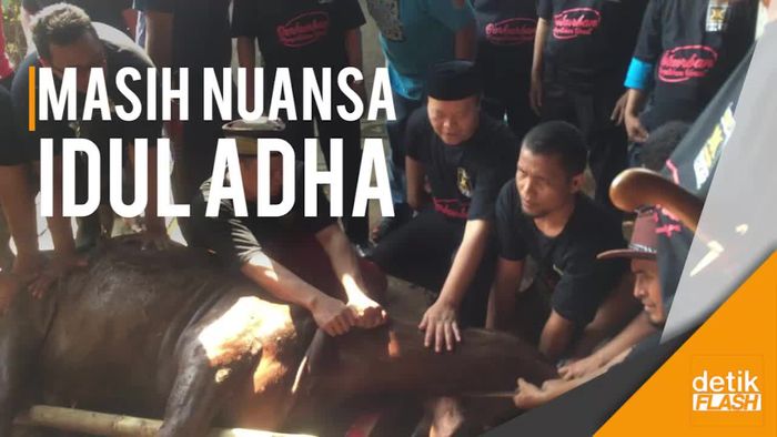 PKS Persembahkan Puluhan Ribu Hewan Kurban
