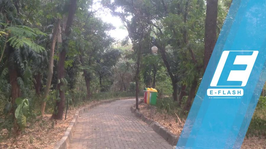 Potensi Wisata Hutan Kota yang Terabaikan