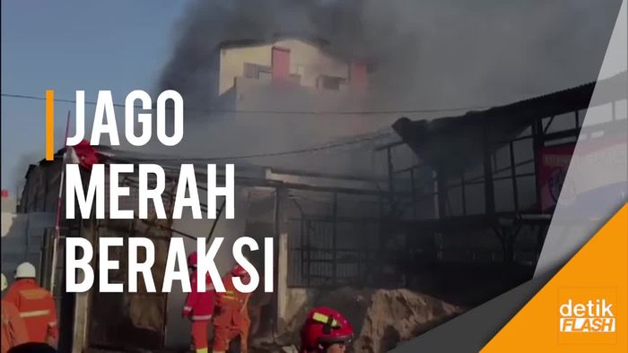 Saat Si Jago Merah Beraksi di Toko Material di Cipinang