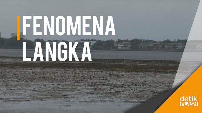 Warga Florida Dikejutkan Fenomena Pantai Mengering Tersedot Badai Irma