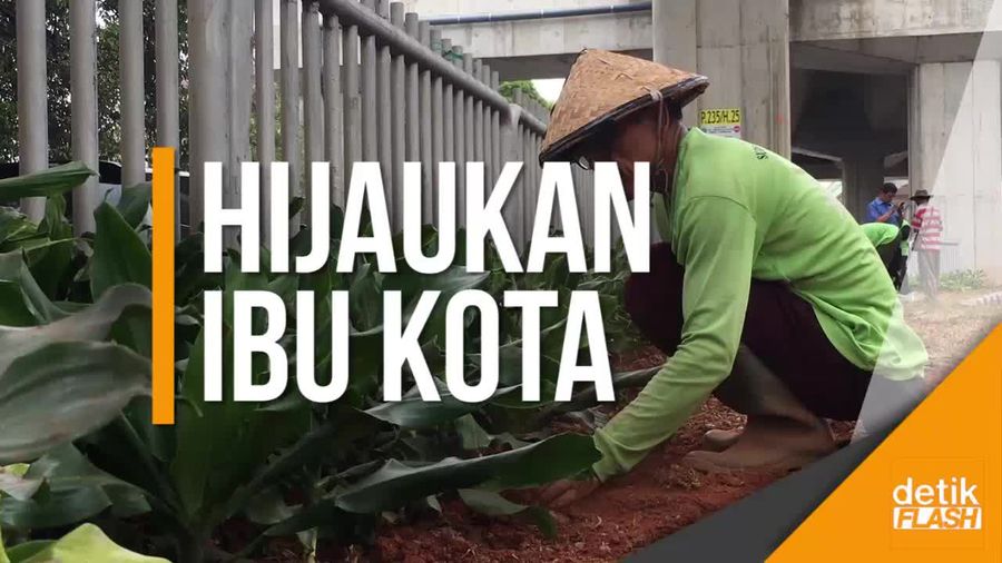 Aksi Pasukan Hijau Bikin Jalanan Ibu Kota Adem