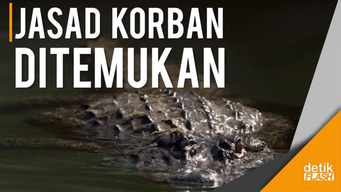 Dua Pria Diduga Korban Buaya di Muara Jawa Ditemukan