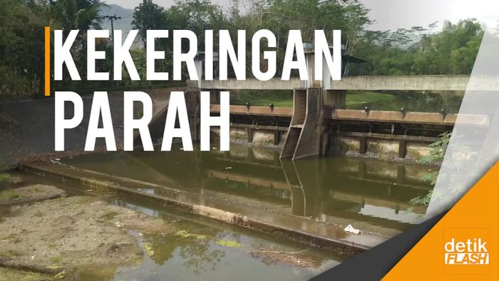 Kemarau, Debit Air di Sejumlah Sungai Trenggalek Turun Drastis