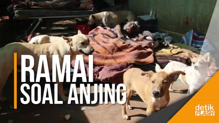 Soal Larangan Pelihara Anjing di Bekasi, Ini Penjelasannya