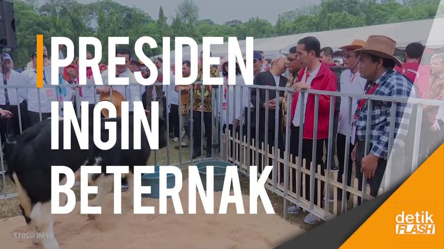 Presiden Jokowi Seru Mengulik Peternak Sukses dari Purworejo