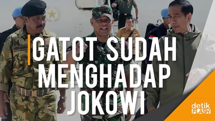 Jokowi: Panglima TNI Sudah Ketemu Saya Jelaskan Soal Senjata