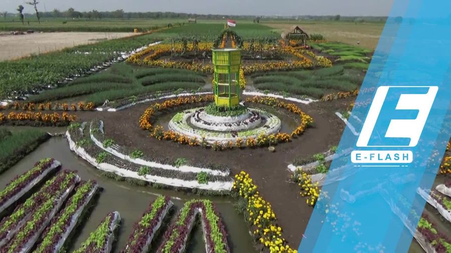 Wisata Sambil Belajar di Taman Pembibitan Jombang yang Eksotis