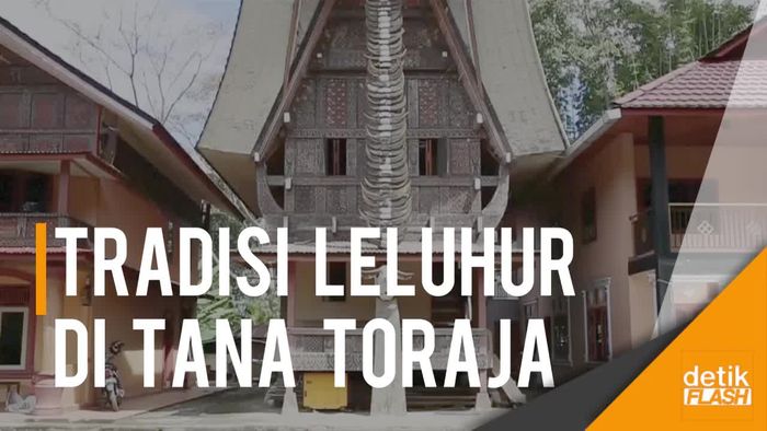 Tradisi Manene: Ritual Kuno di Tana Toraja