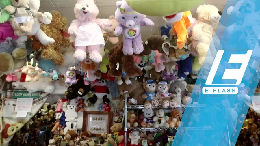 Jackie Miley Si Kolektor Teddy Bear Terbanyak di Dunia
