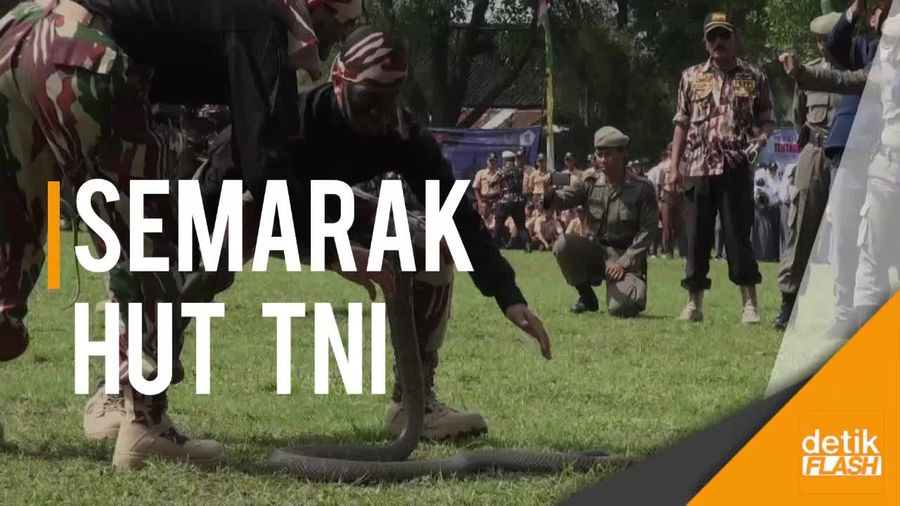 Aksi Prajurit Kopassus Duel dengan King Cobra