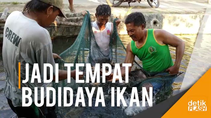 Dulu Kotor, Kini Sungai di Mojokerto Hasilkan Uang Puluhan Juta