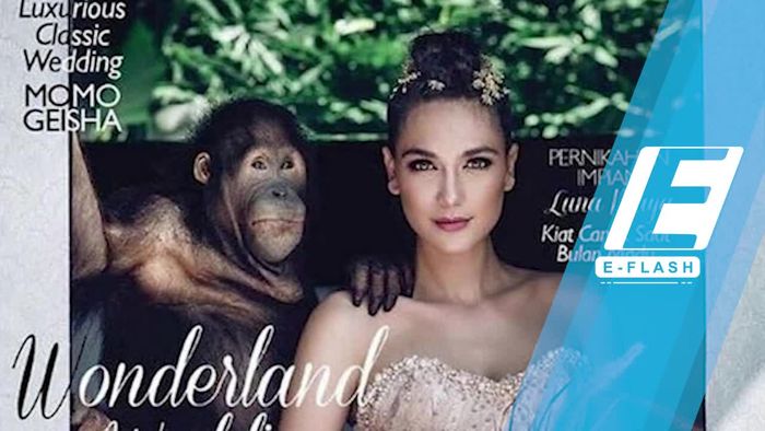 Pose dengan Orangutan, Luna Maya Dapat Kritikan Pedas