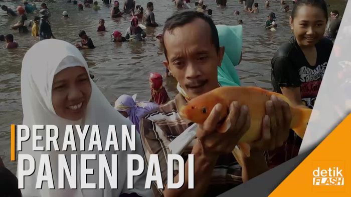 Seru! Ribuan Warga Mojokerto Lomba Tangkap Ikan