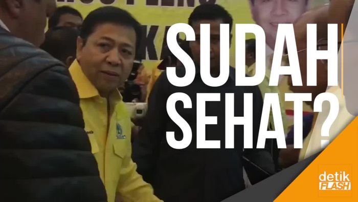 Aksi Novanto Pimpin Rapat Pleno DPP Golkar