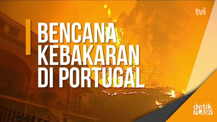 27 Orang Tewas Akibat Kebakaran Hutan di Portugal