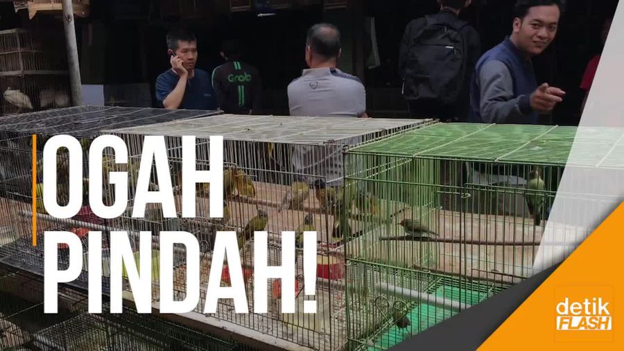 Harapan Pedagang Pasar Burung Pramuka ke Gubernur Baru