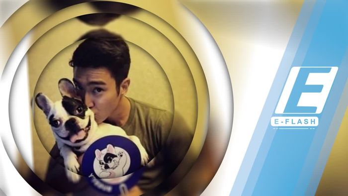 Anjing Siwon Super Junior Gigit CEO hingga Meninggal