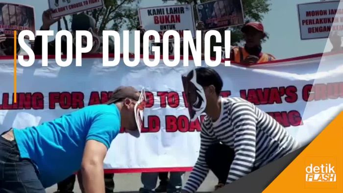 Pecinta Hewan Minta Adu Bagong Dihentikan