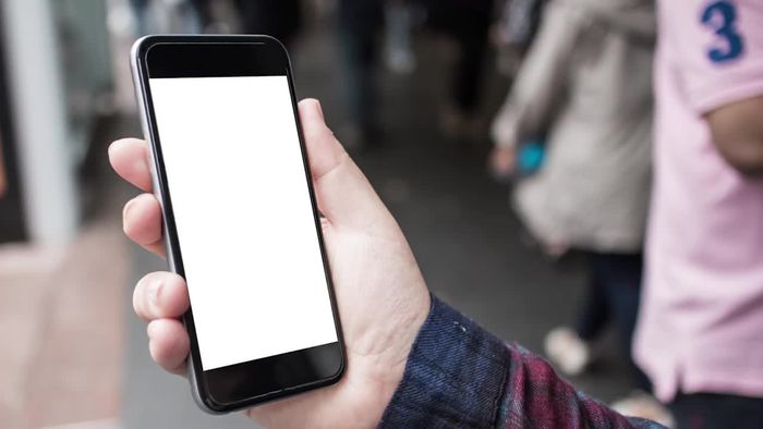 Mereka yang Bicara Urgensi Regulasi Transportasi Online