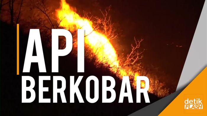 Kini Kebakaran Mengancam Warga Italia