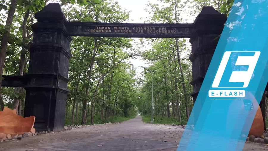 Api Abadi di Bojonegoro, Tak Padam Meski Diguyur Hujan