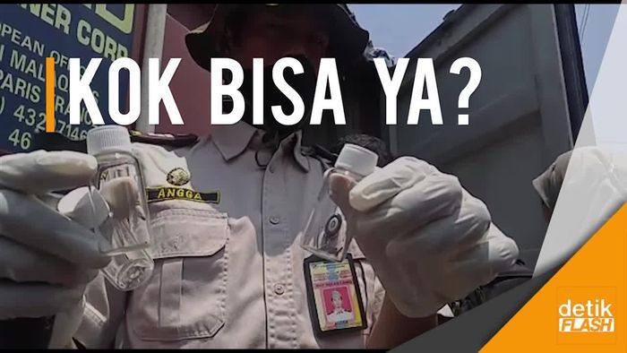 Hii! Ada Ngengat di 12 Kontainer Kedelai Impor ini